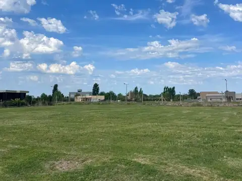 BOOTE Y LUIS TAGLE 100