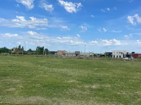 BOOTE Y LUIS TAGLE 100