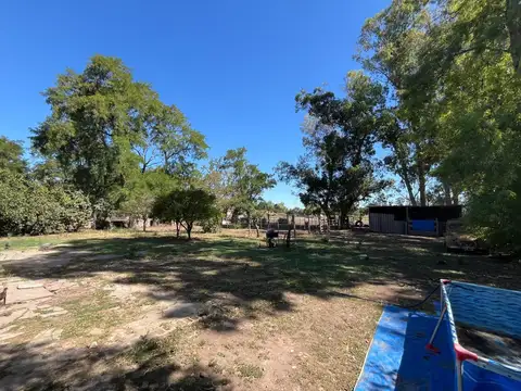 Ruta 50
