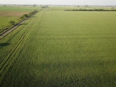 38 Hectáreas Agrícolas Clase 2 IP76 Serie Humboldt
