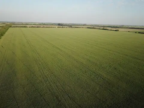 Campo en Venta de 38  ha