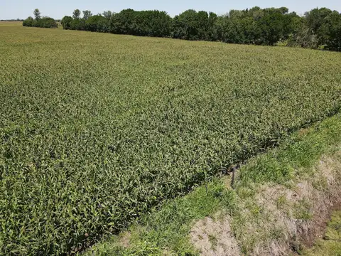 Campo en Venta con Alambrado