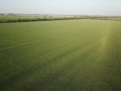 Camino público