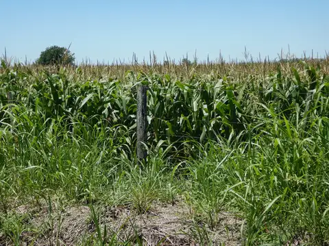 38 Hectáreas Agrícolas Clase 2 IP76 Serie Humboldt