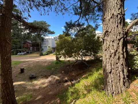 Terreno en Venta de 350,0 m2