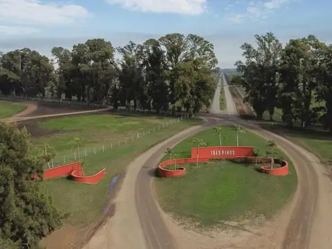 LOTE EN VENTA COUNTRY TRES PINOS DE 1289m2 