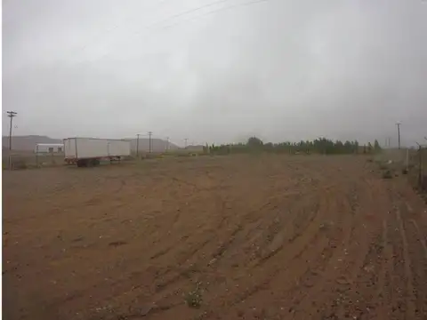 Alquilo terreno de 6.200 M2 en Rincón de los Sauces.
