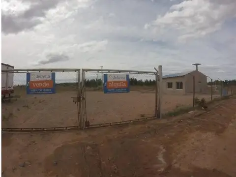 Terreno en Alquiler de 6200,0 m2