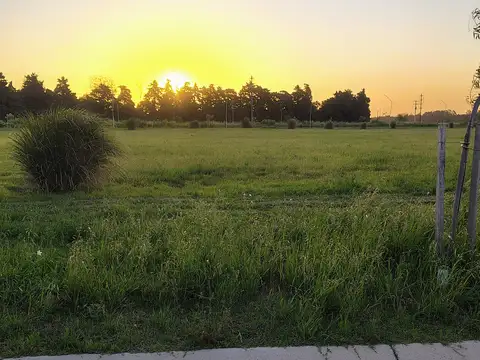 Terreno en Venta 12  mts Frente