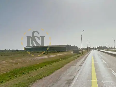 RUTA 1 100