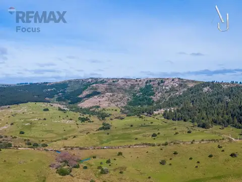Venta de campo 25,7 Ha. en Minas, Lavalleja. 