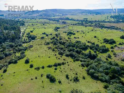 Venta de campo 25,7 Ha. en Minas, Lavalleja.