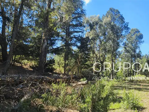 Ruta Provincial 100, Piso Rut