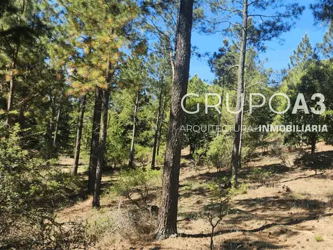 Terreno en Venta, FOT 30