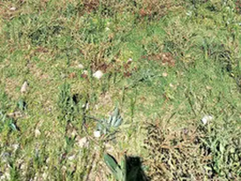 Casa Monoambiente con 1 baño