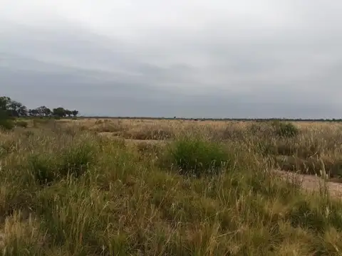 Campo en Venta en Salavina, Santiago del Estero