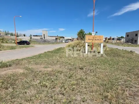 Selmira del Carmen Valenzuela 400