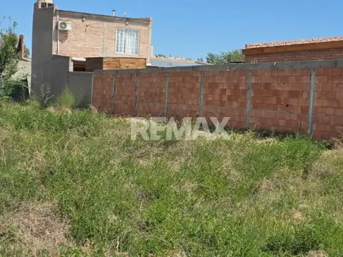 Selmira del Carmen Valenzuela 400