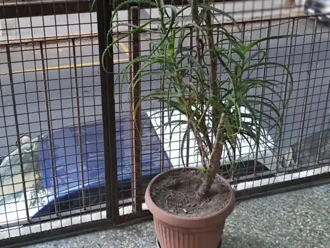 Departamento en Venta al Noroeste