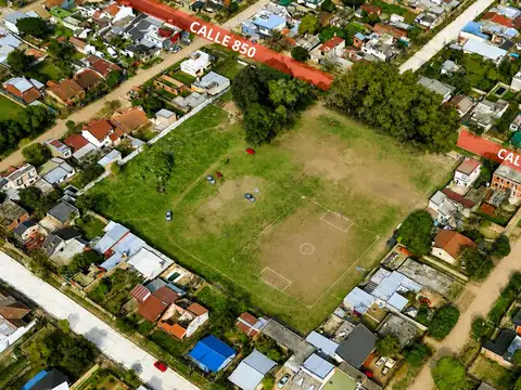 Calle 850 300