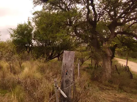 Terreno con escritura y plano aprobado de 60mts2