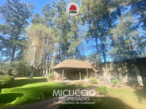 Quinta en Venta en Lambertucci, USD 240.000