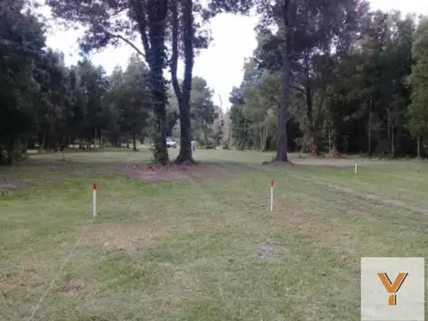 3 e/ Sarmiento y Belgrano