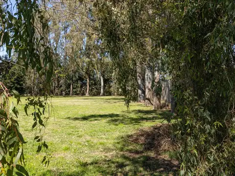 Terreno en Venta en Ranelagh, USD 68.000