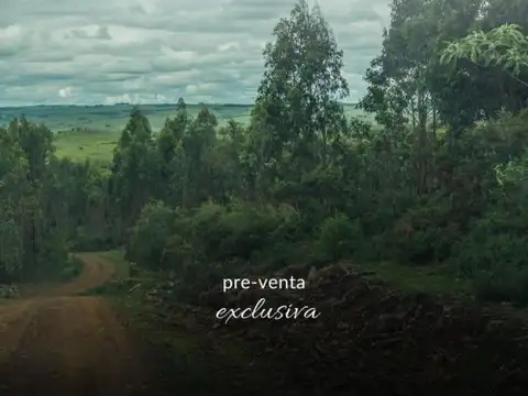 PROPIEDADES RURALES - CHACRA - MINAS