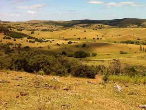 Campo en Venta de 5  ha
