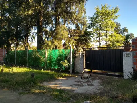Terreno en Venta 60  mts Fondo
