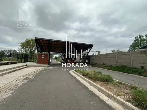 Avenida Olivos 1700