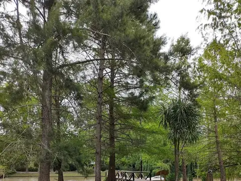 Rio / Arroyo Antequera Wanelen 100