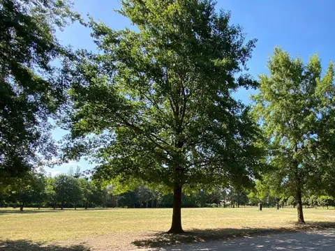 Terreno en Venta en General Rodriguez, USD 80.000