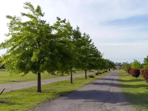 Terreno en Venta 20  mts Frente