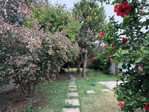 115 entre 79  y 80 , Piso 0