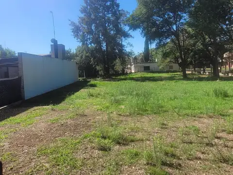 Terrosa al 600