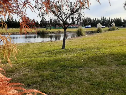 Terreno en Venta 43  mts Fondo