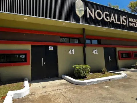 Noria 100