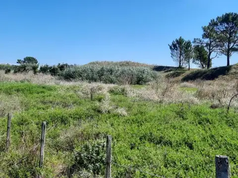 Ruta 11 KM 414