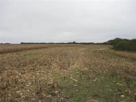 Campo en Venta Agrícola