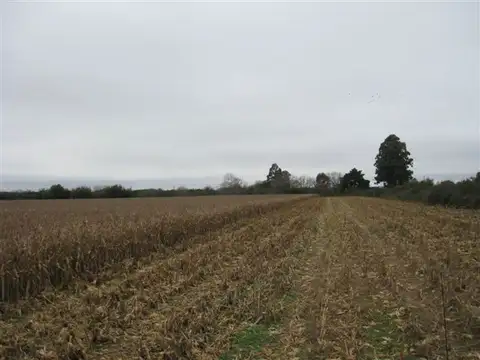 Campo en Venta de 92  ha