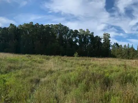 19 y San Joaquin - LOTE EN