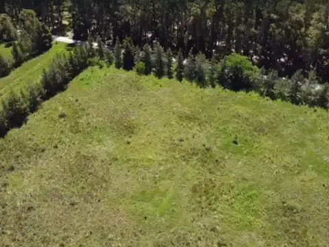 19 y San Joaquin - LOTE EN VERONICA