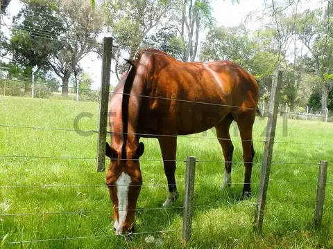 Av. Arturo Jauretche & Av. Soberanía Nacional , Piso 0