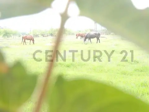 OPORTUNIDAD | LOTE DE 750 m² EN COUNTRY EL PARAÍSO – GOLF, HÍPICO Y SEGURIDAD 24 HS | ACEPTA PERMUTA