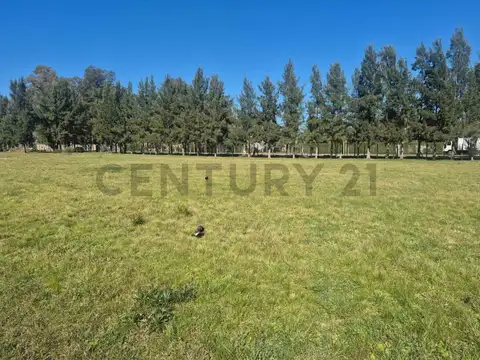 Terreno en Venta de 750,0 m2