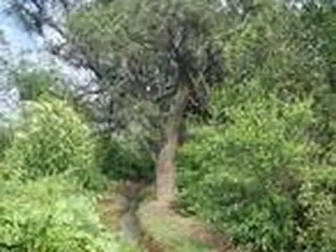 El Galpón  al 1000