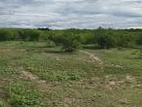Terreno en Venta en El Galpon, USD 300.000