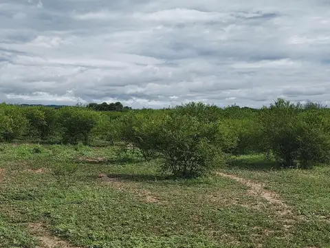 Terreno  de 20 Ha en El Galpón- Salta